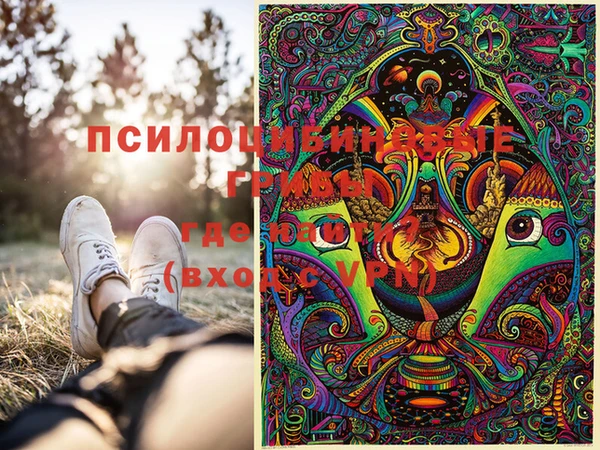 дурь Алексин