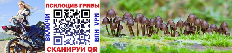 Галлюциногенные грибы Magic Shrooms  Казань 